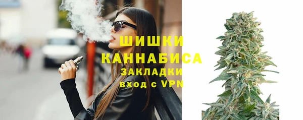 дживик Козельск