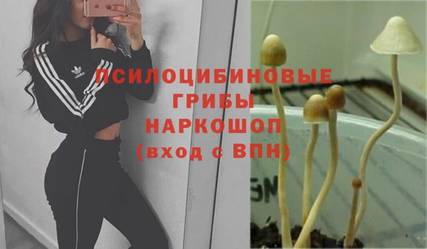 дживик Козельск