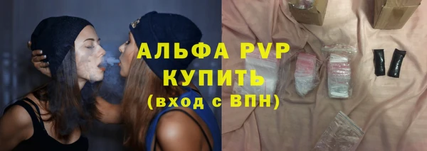 дживик Козельск
