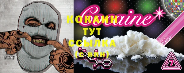 дживик Козельск