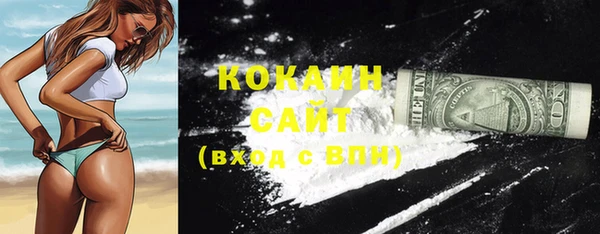 дживик Козельск