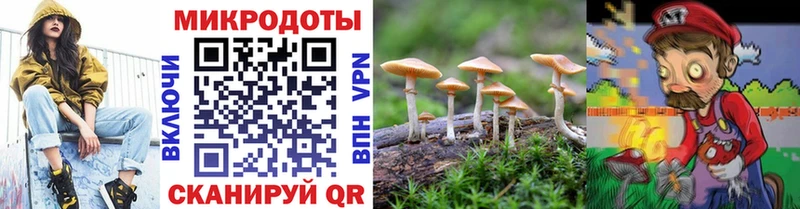 OMG зеркало где можно купить наркотик Шумиха Галлюциногенные грибы Magic Shrooms